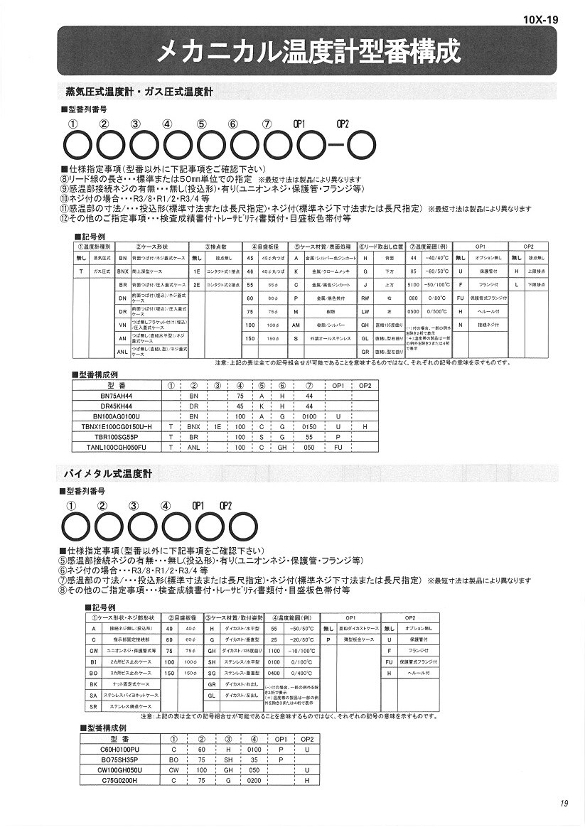 10X-P19.jpg